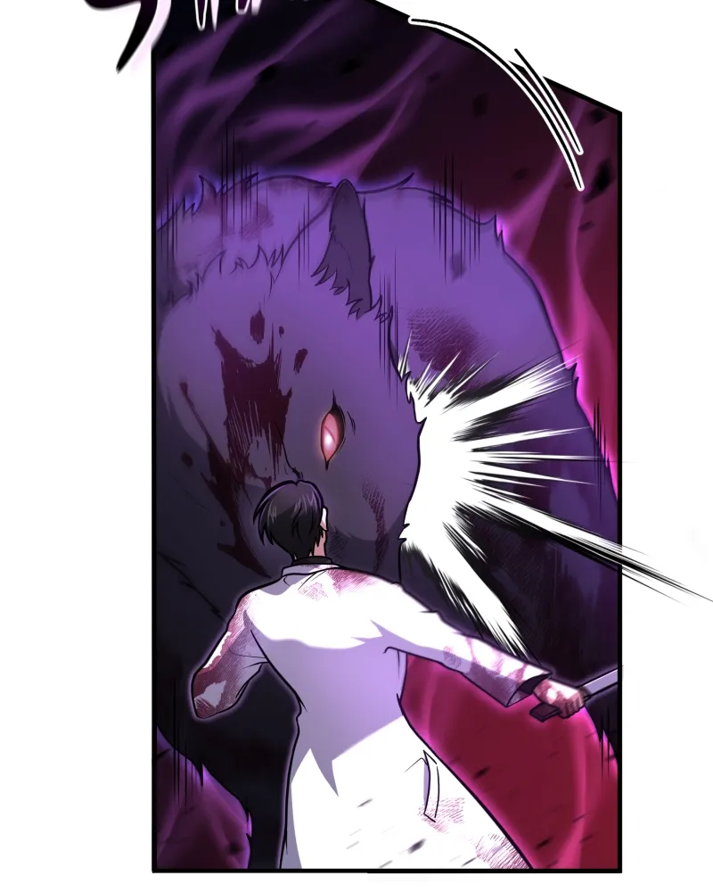 Read How to Live as an Illegal Healer Manga Online