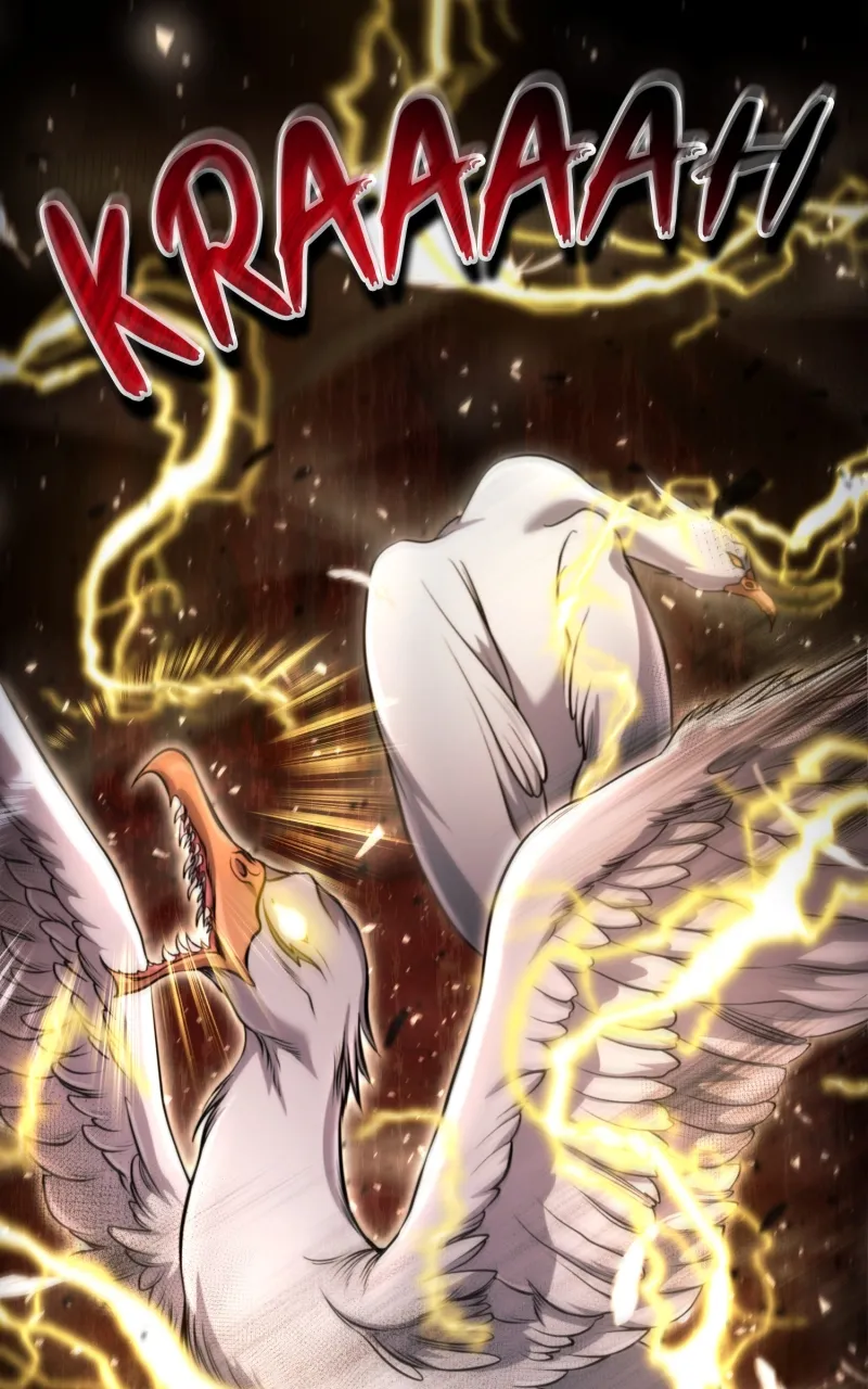 Read How to Live as an Illegal Healer Manga Online