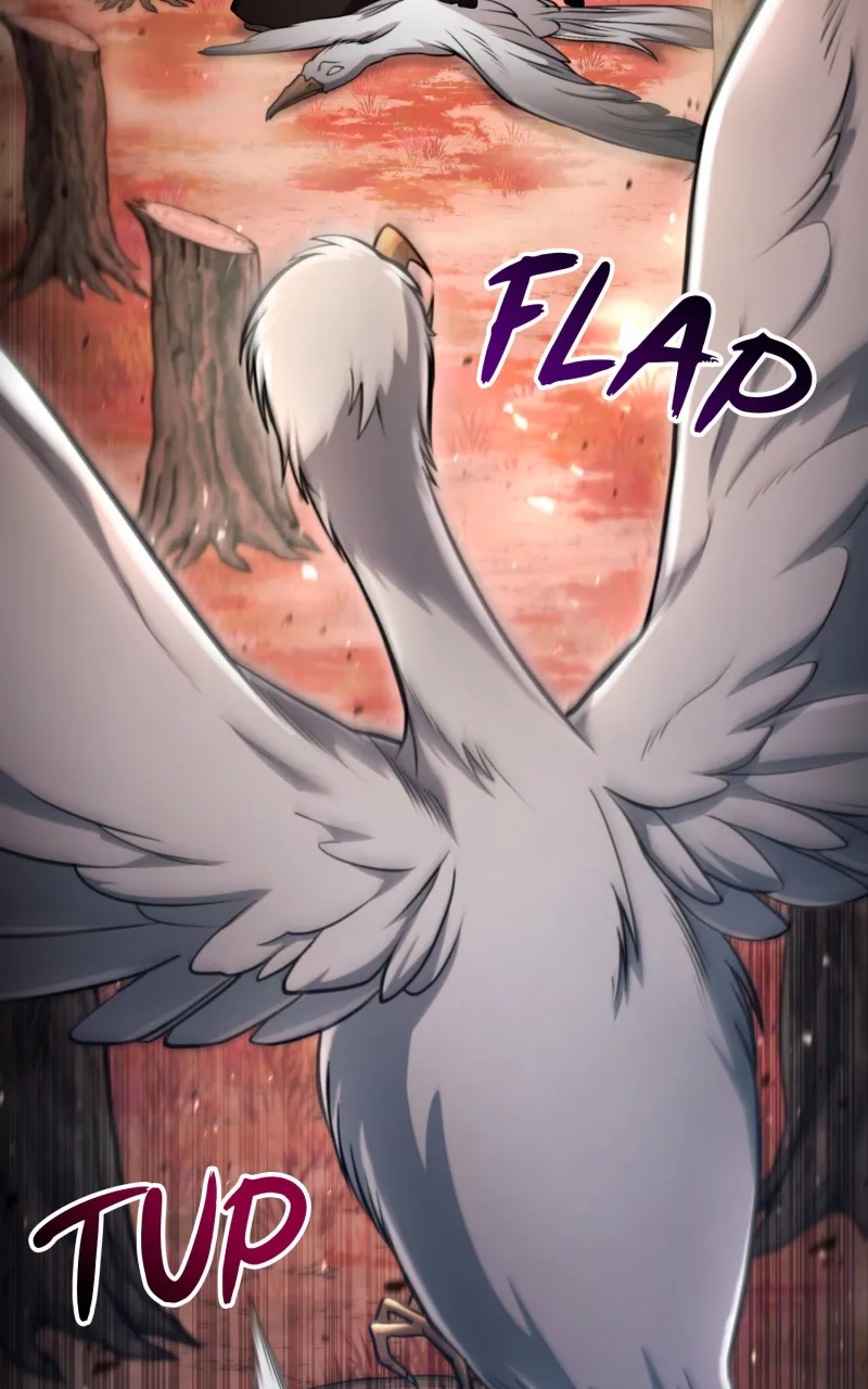 Read How to Live as an Illegal Healer Manga Online