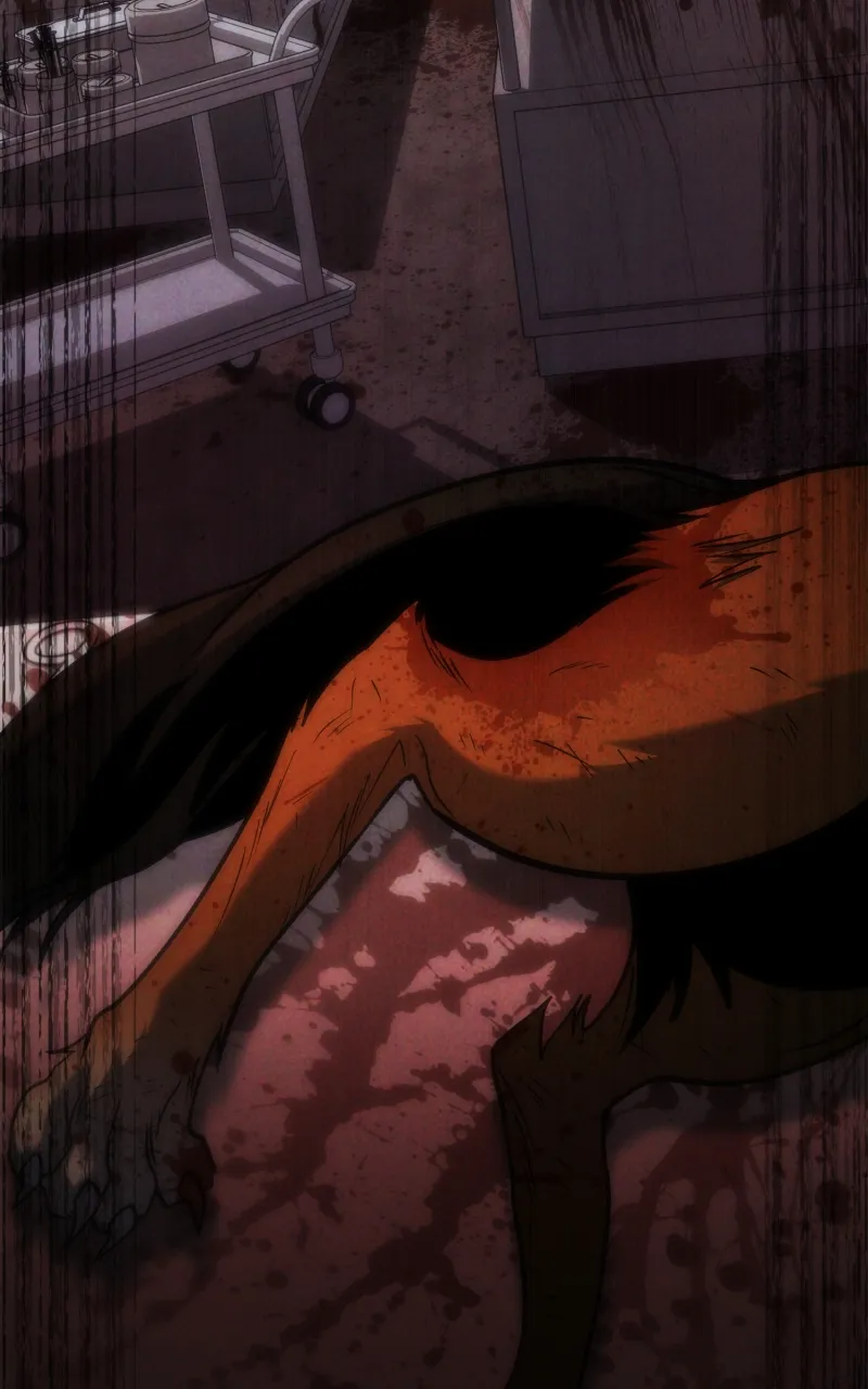 Read How to Live as an Illegal Healer Manga Online