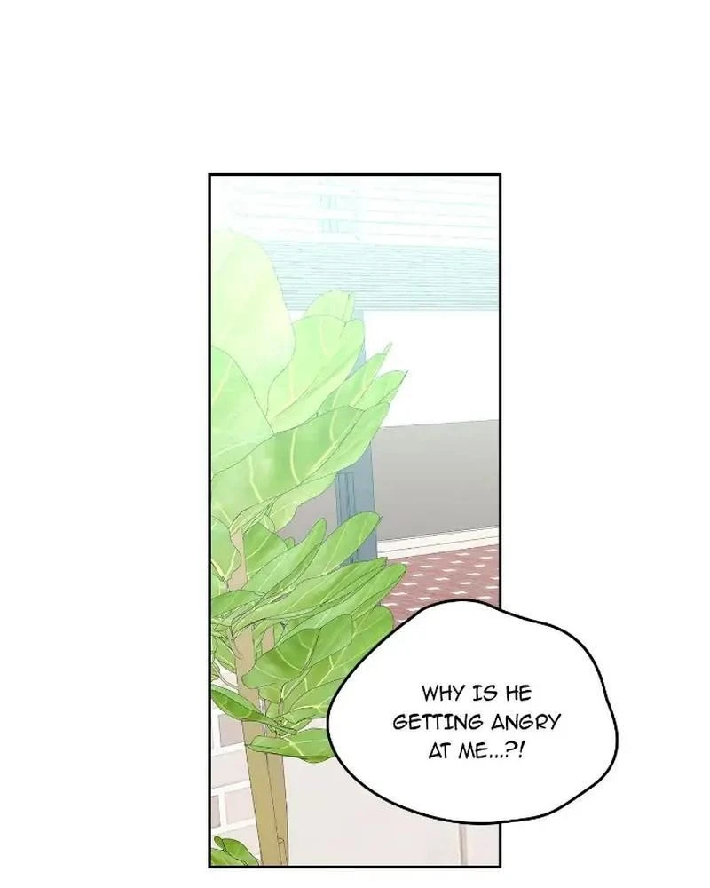 Read Inso’s Law Manga Online