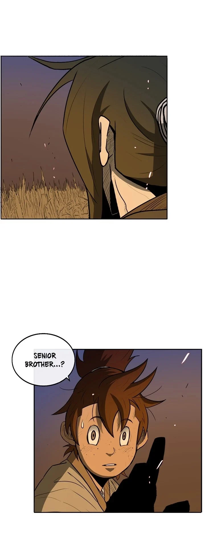 Read Legend Of The Northern Blade Manga Online