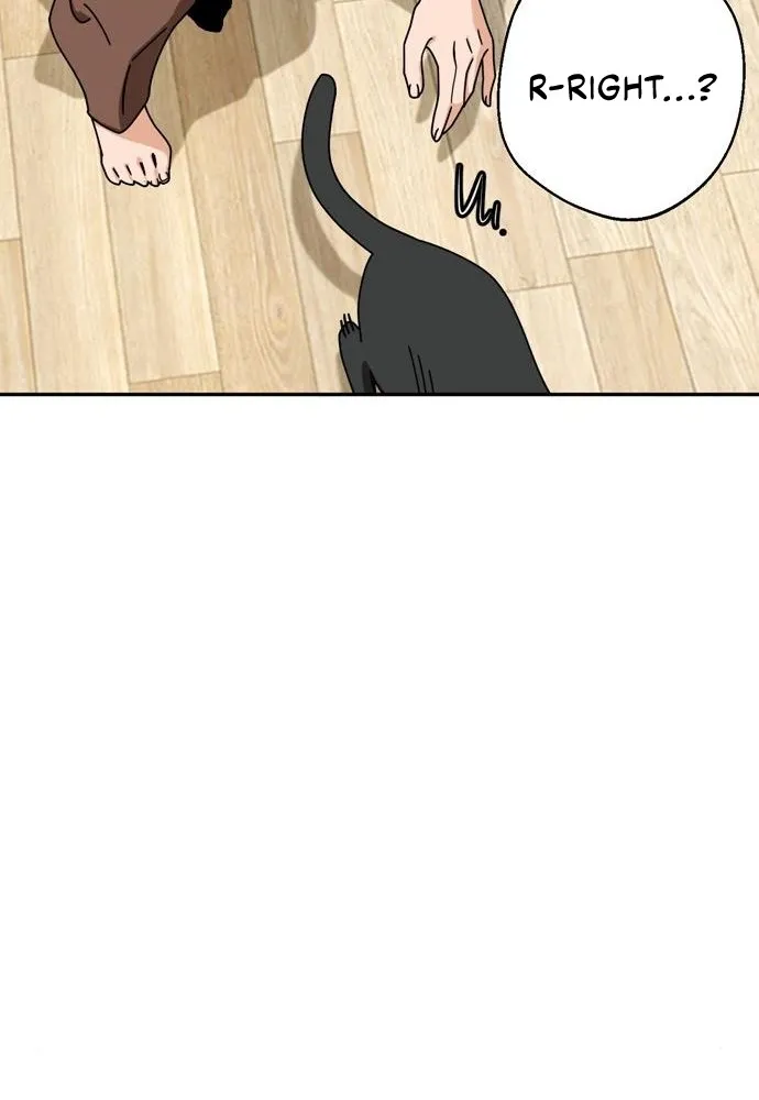 Read Maybe Meant to Be Manga Online