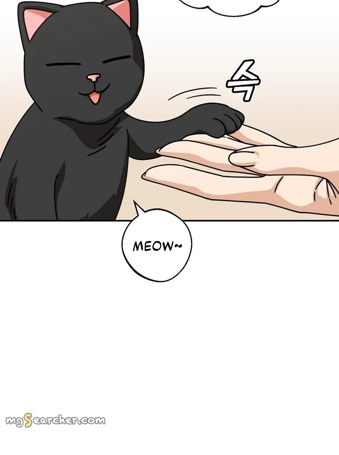 Read Maybe Meant to Be Manga Online