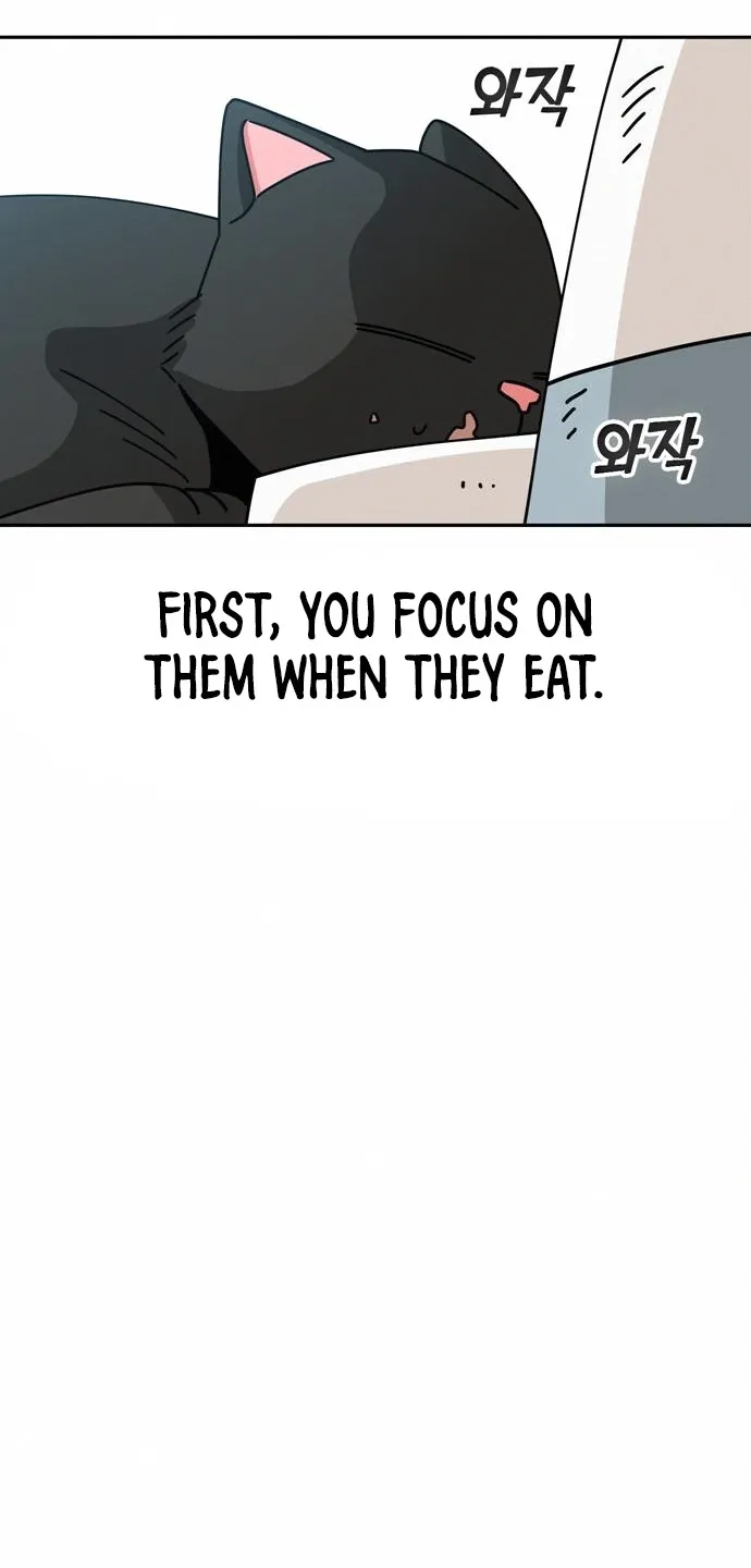 Read Maybe Meant to Be Manga Online