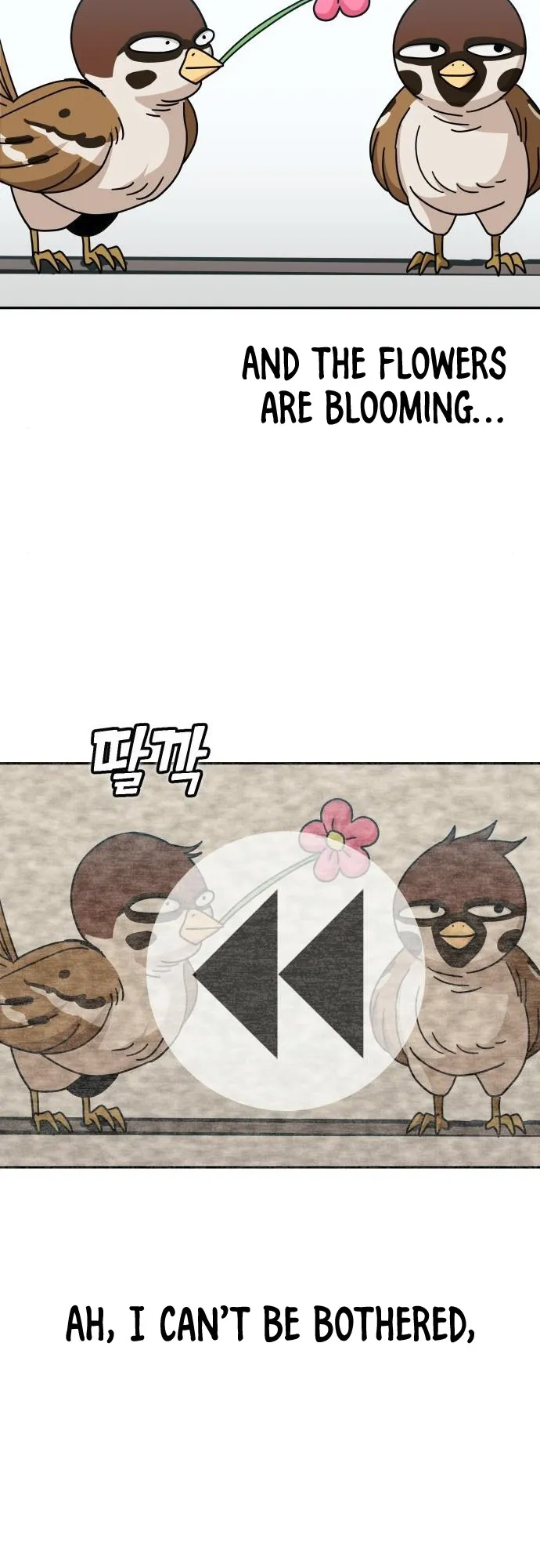 Read Maybe Meant to Be Manga Online