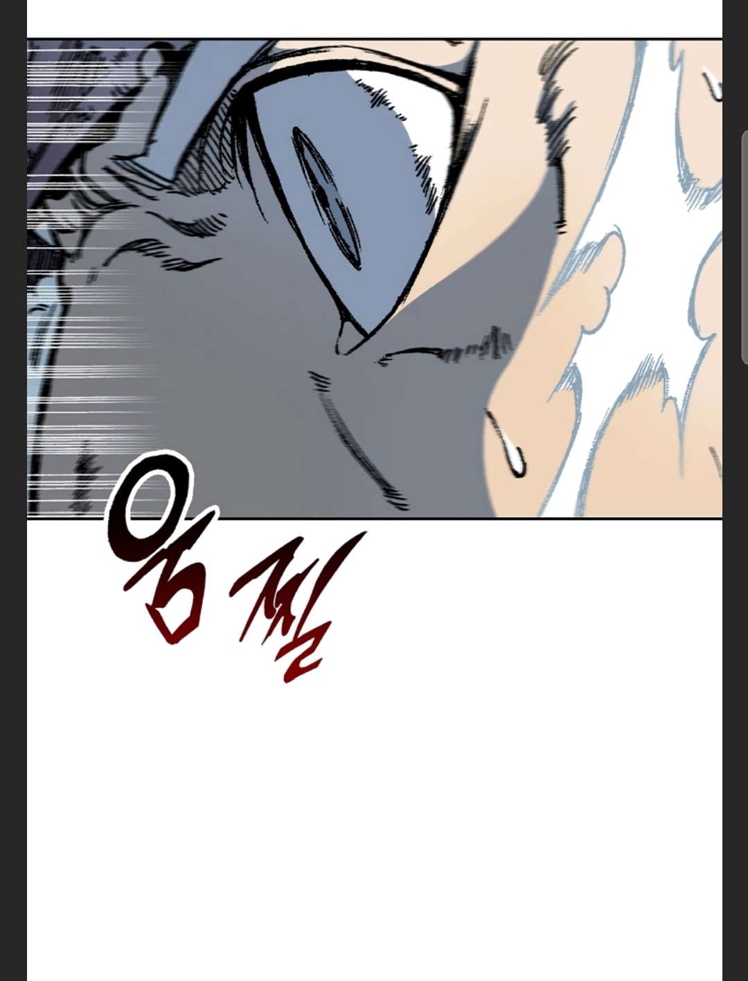 Read Memoir Of The King Of War Manga Online