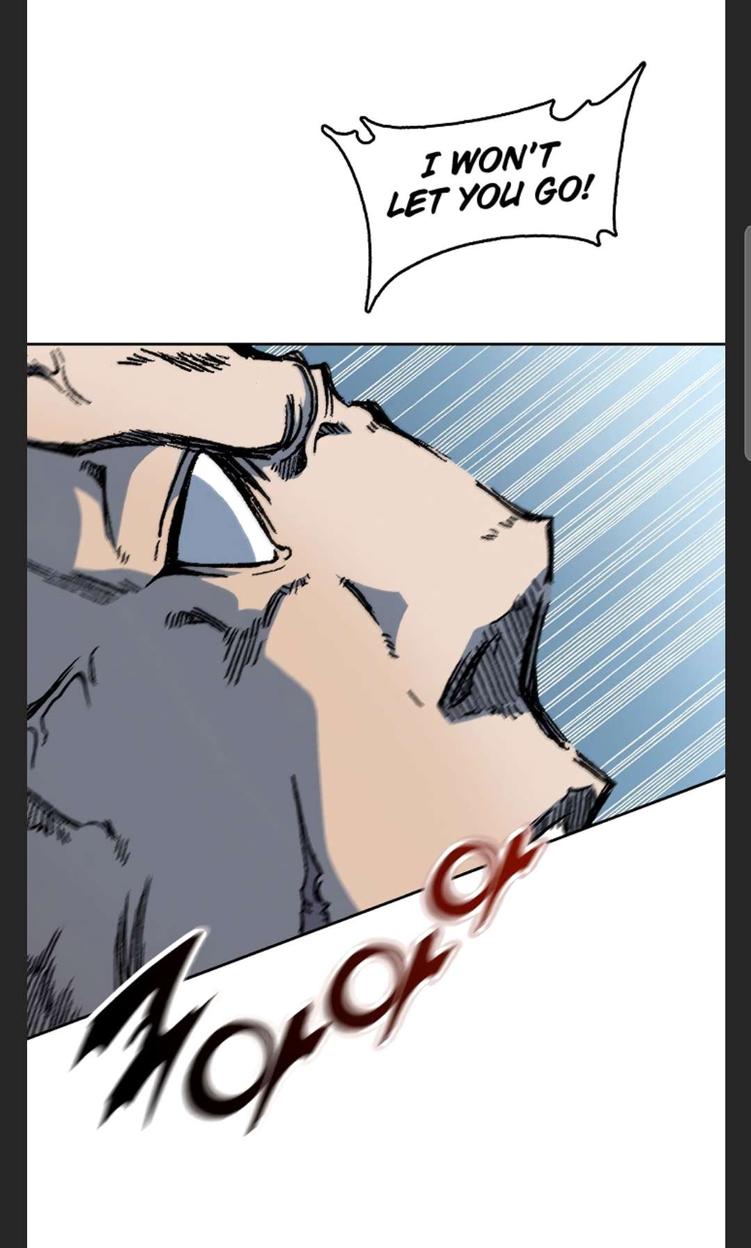 Read Memoir Of The King Of War Manga Online