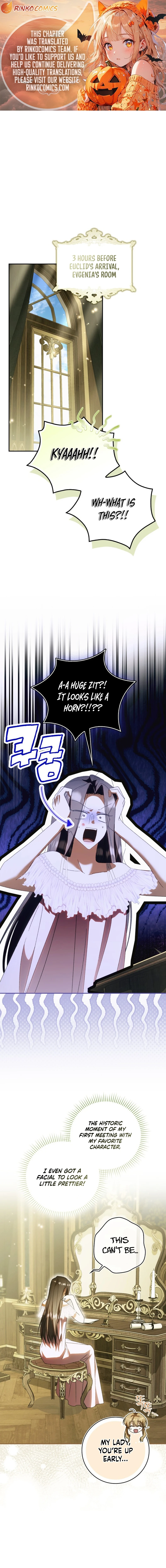 Read My Husband Is My Favorite, but I Think I'm Going to Get Divorced Manga Online