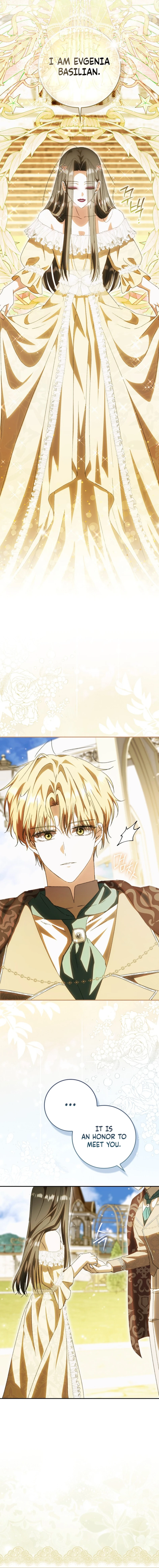 Read My Husband Is My Favorite, but I Think I'm Going to Get Divorced Manga Online