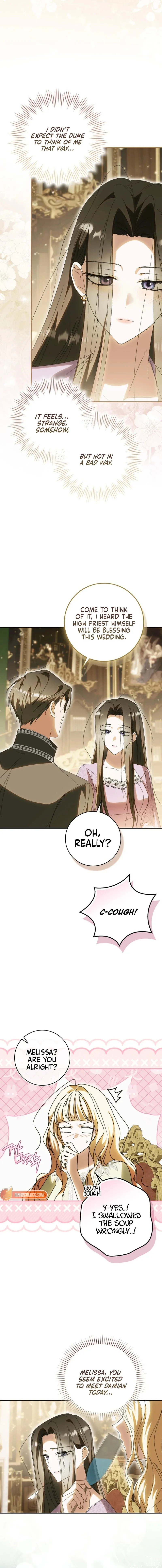 Read My Husband Is My Favorite, but I Think I'm Going to Get Divorced Manga Online