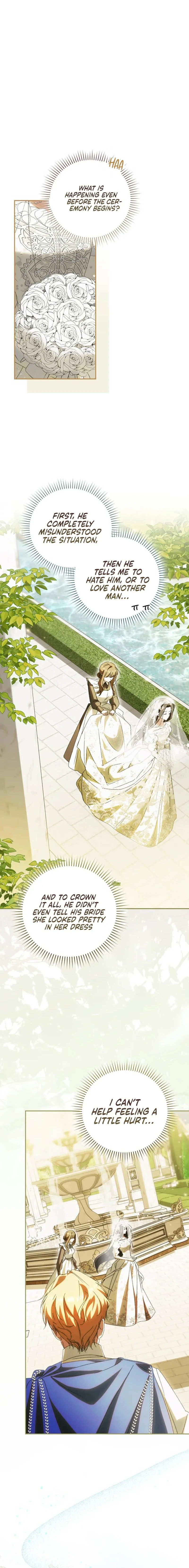 Read My Husband Is My Favorite, but I Think I'm Going to Get Divorced Manga Online