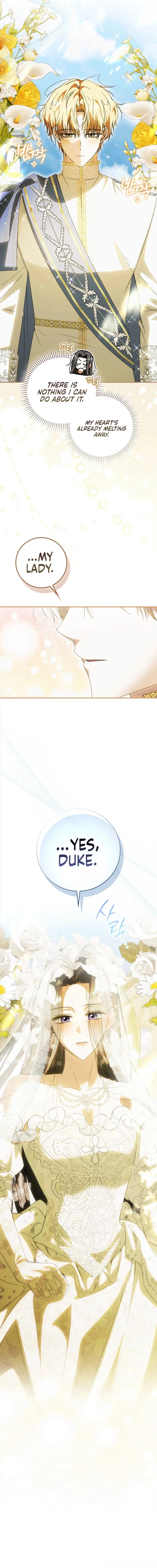 Read My Husband Is My Favorite, but I Think I'm Going to Get Divorced Manga Online