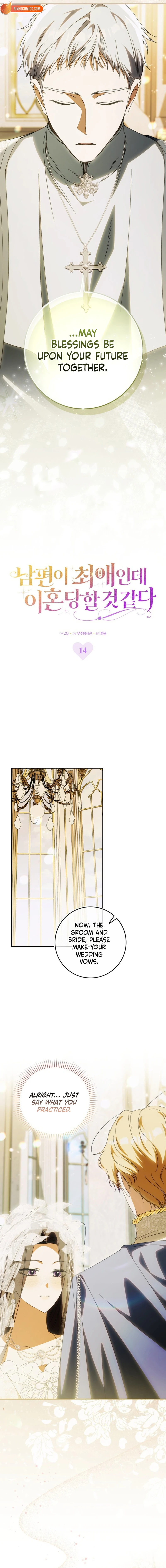 Read My Husband Is My Favorite, but I Think I'm Going to Get Divorced Manga Online