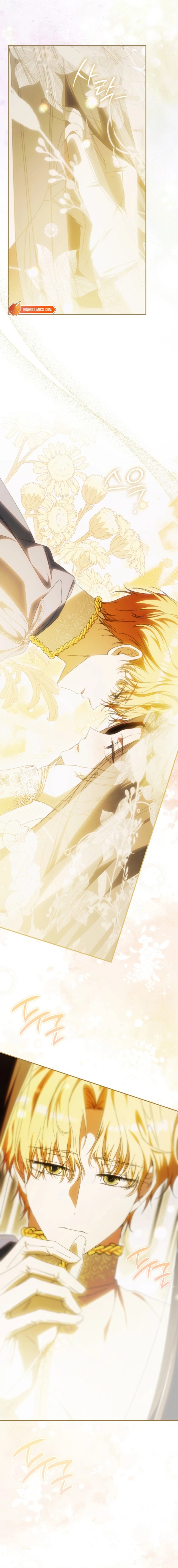 Read My Husband Is My Favorite, but I Think I'm Going to Get Divorced Manga Online