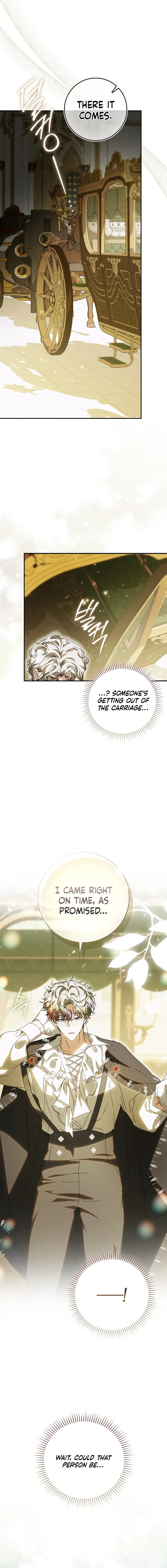 Read My Husband Is My Favorite, but I Think I'm Going to Get Divorced Manga Online