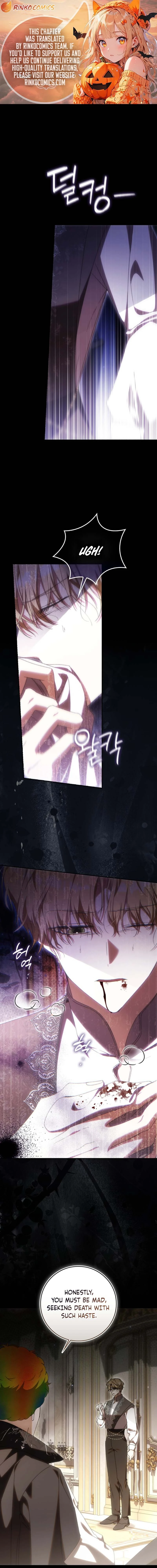 Read My Husband Is My Favorite, but I Think I'm Going to Get Divorced Manga Online