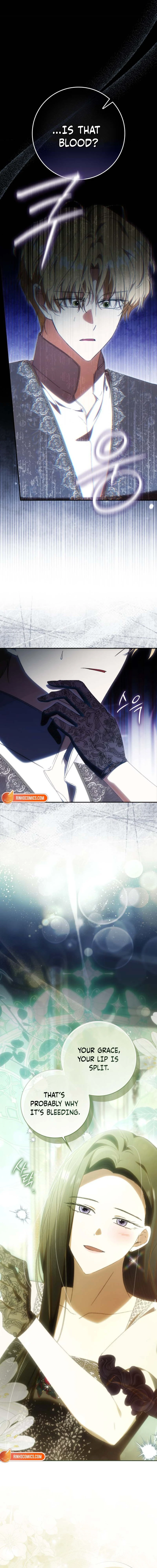 Read My Husband Is My Favorite, but I Think I'm Going to Get Divorced Manga Online