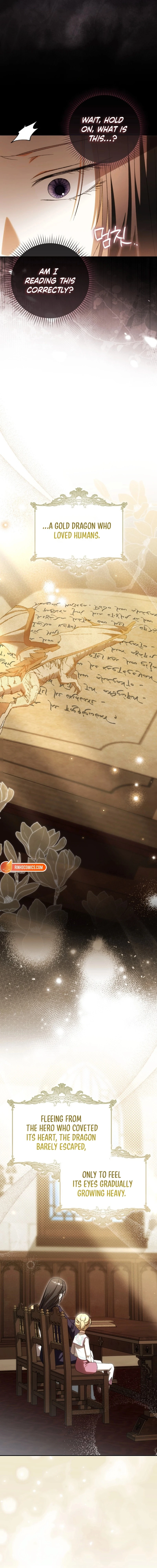 Read My Husband Is My Favorite, but I Think I'm Going to Get Divorced Manga Online