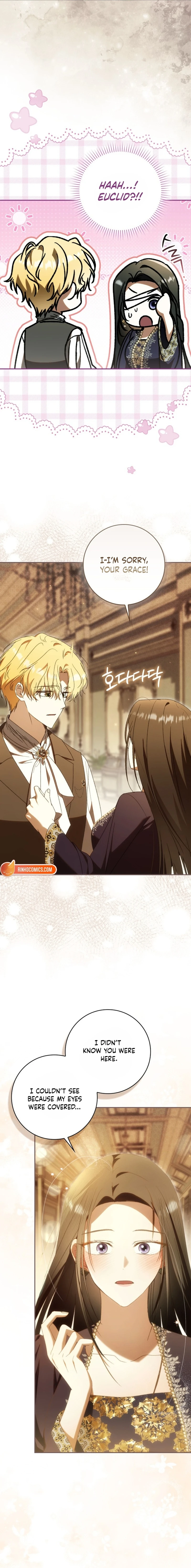 Read My Husband Is My Favorite, but I Think I'm Going to Get Divorced Manga Online