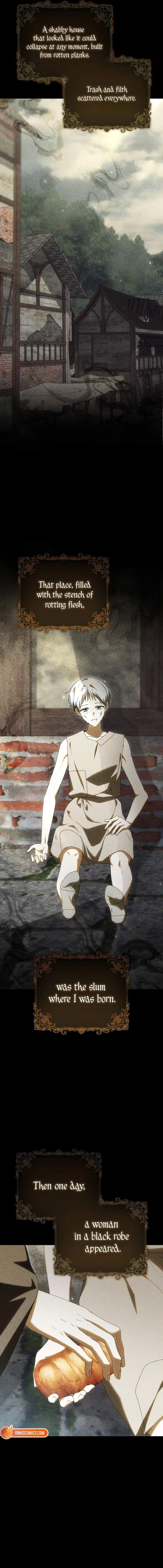 Read My Husband Is My Favorite, but I Think I'm Going to Get Divorced Manga Online