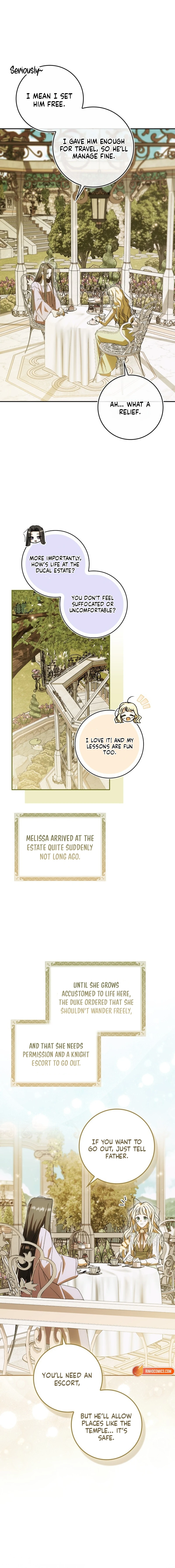 Read My Husband Is My Favorite, but I Think I'm Going to Get Divorced Manga Online