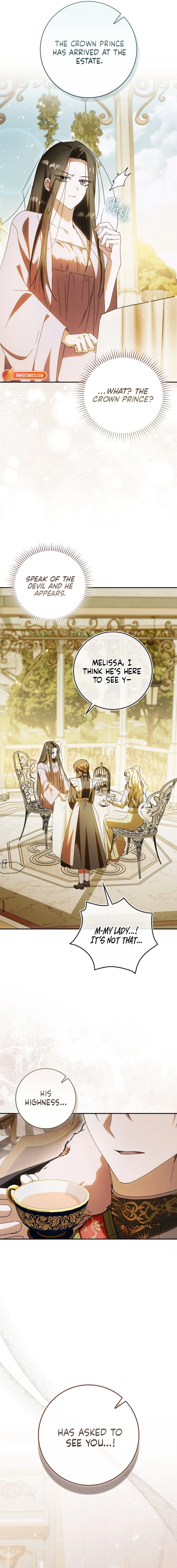 Read My Husband Is My Favorite, but I Think I'm Going to Get Divorced Manga Online