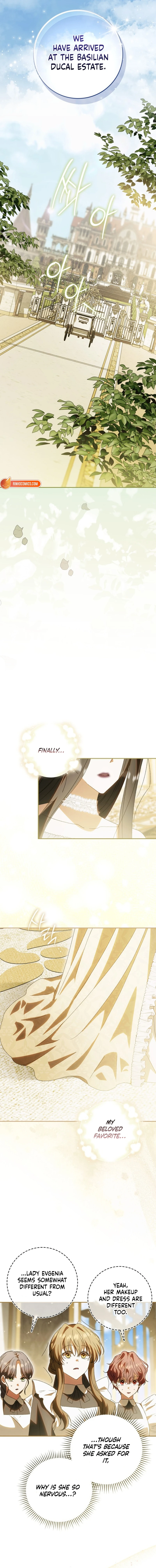 Read My Husband Is My Favorite, but I Think I'm Going to Get Divorced Manga Online