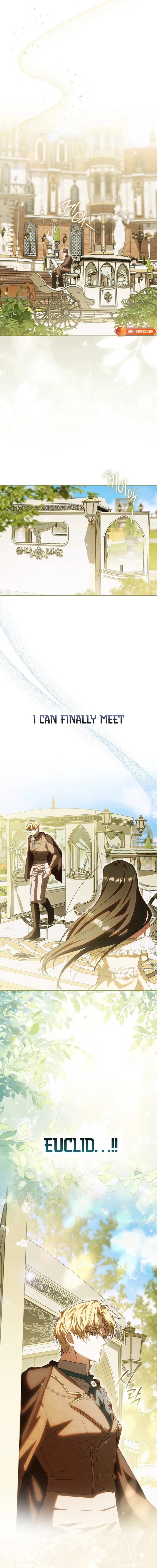 Read My Husband Is My Favorite, but I Think I'm Going to Get Divorced Manga Online