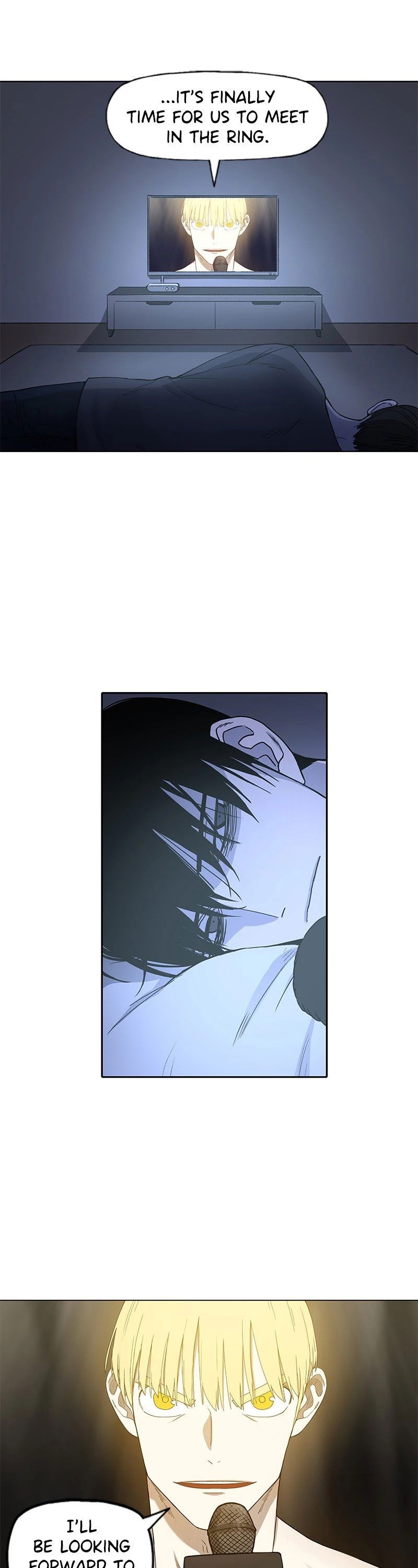 Read The Boxer Manga Online