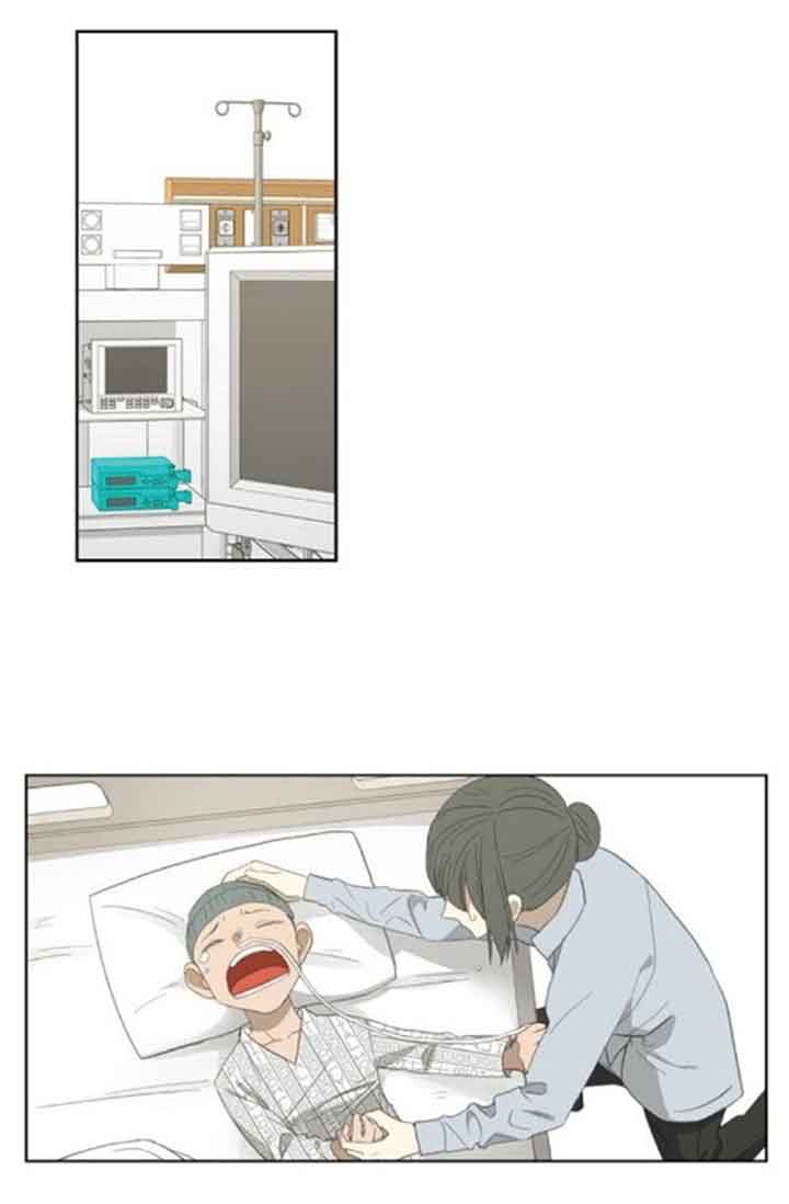 Read The Boxer Manga Online