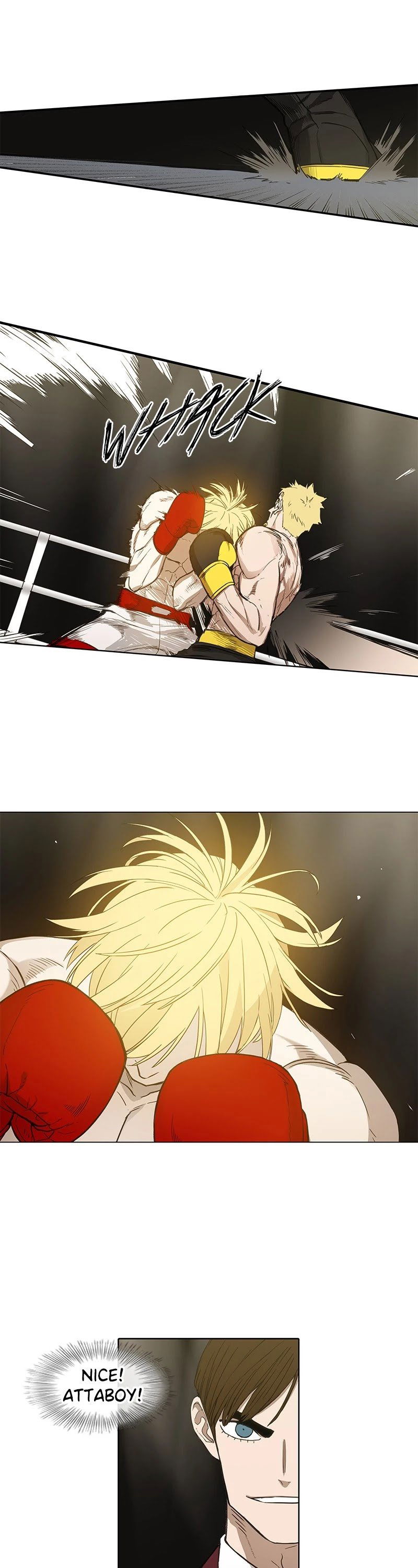 Read The Boxer Manga Online