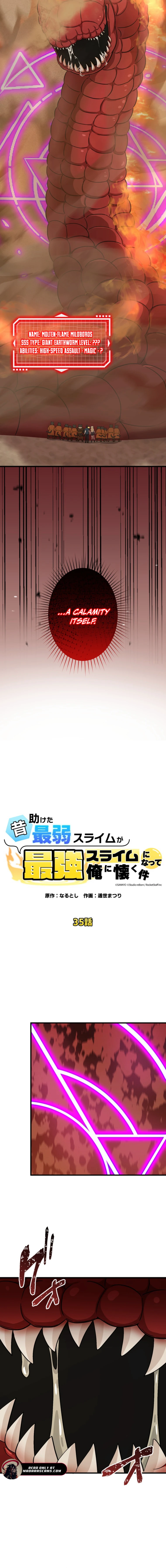 Read The Weakest Slime I Once Saved Became the Strongest and Now Won’t Leave My Side Manga Online