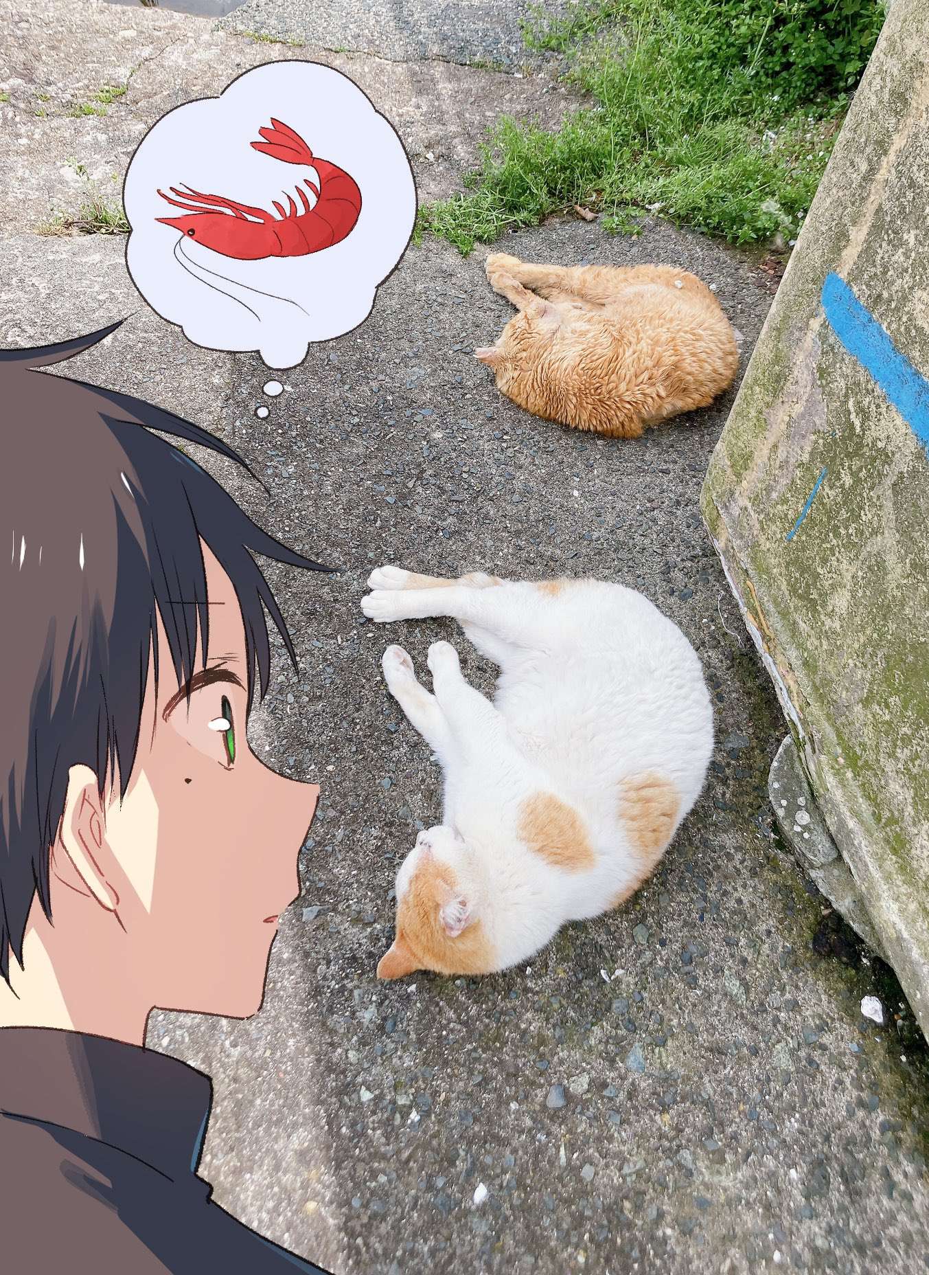 Read Tonari No Neko To Koi Shirazu Manga Online