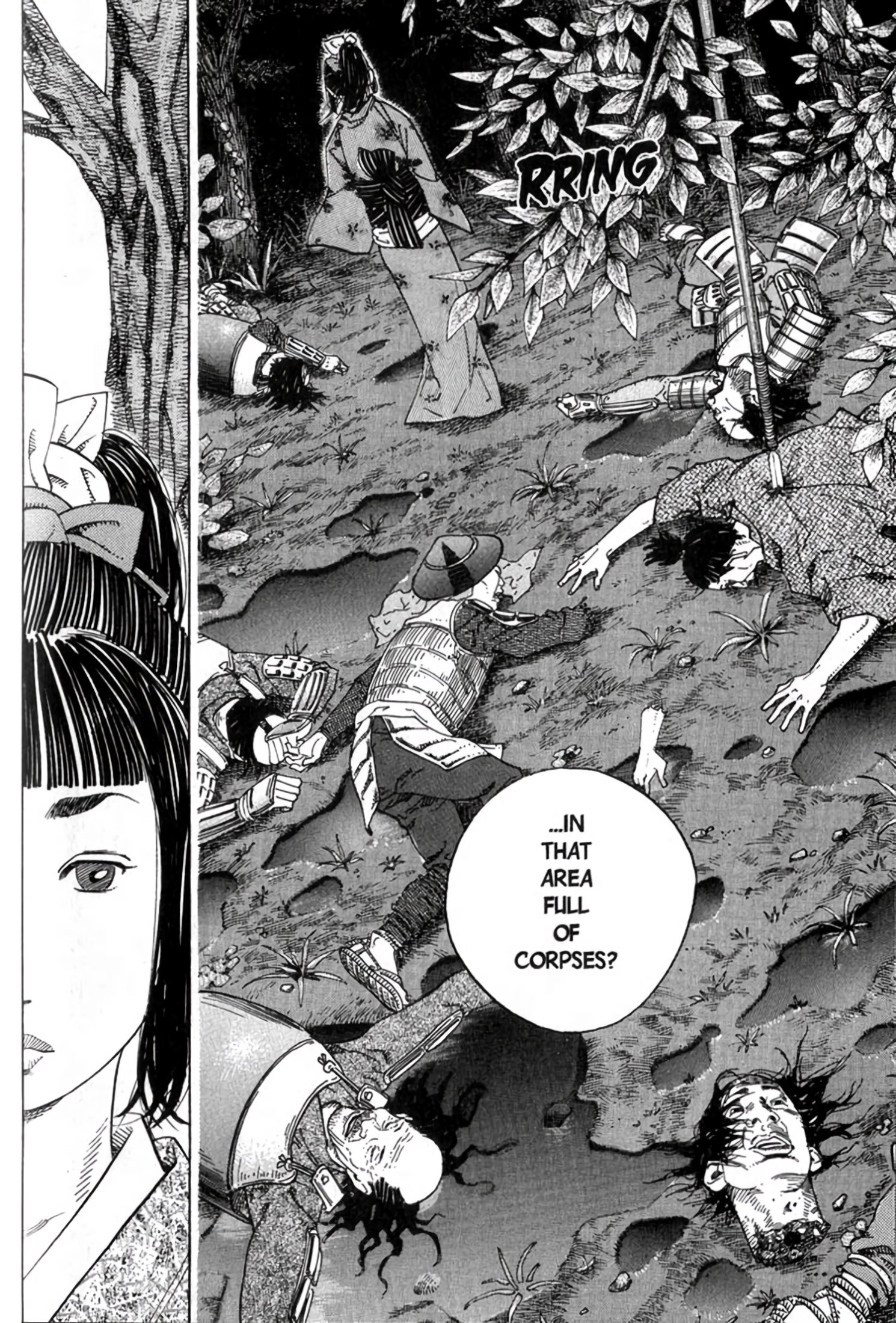 Read Vagabond Manga Online