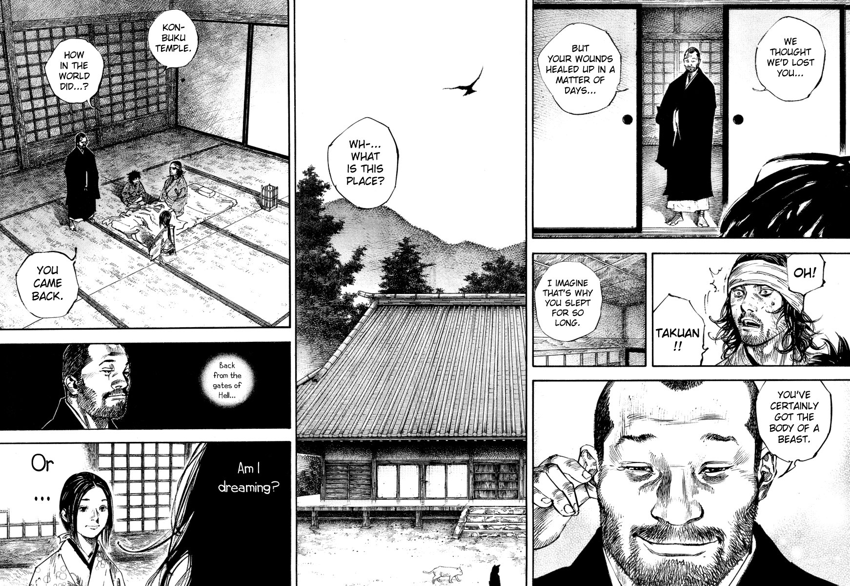 Read Vagabond Manga Online