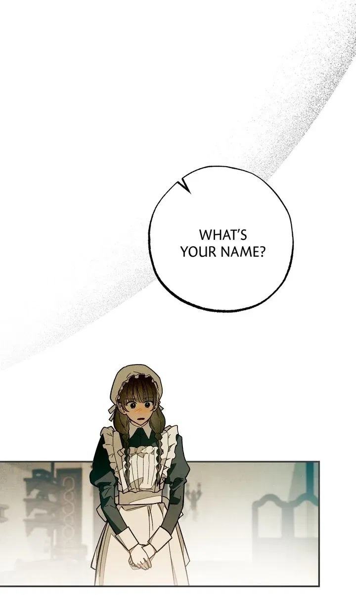 Read Welcome to Rose Manor Manga Online