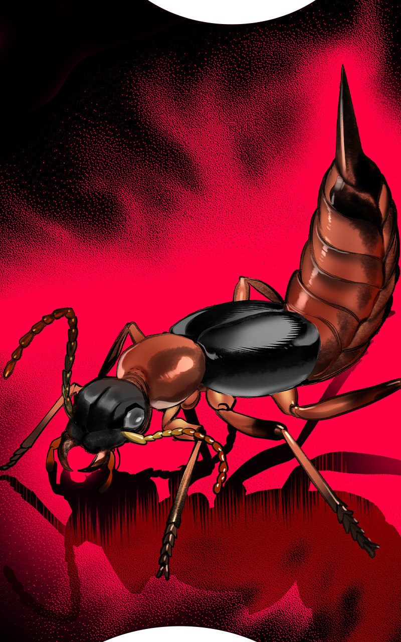 Read Jungle Juice fr Manga Online