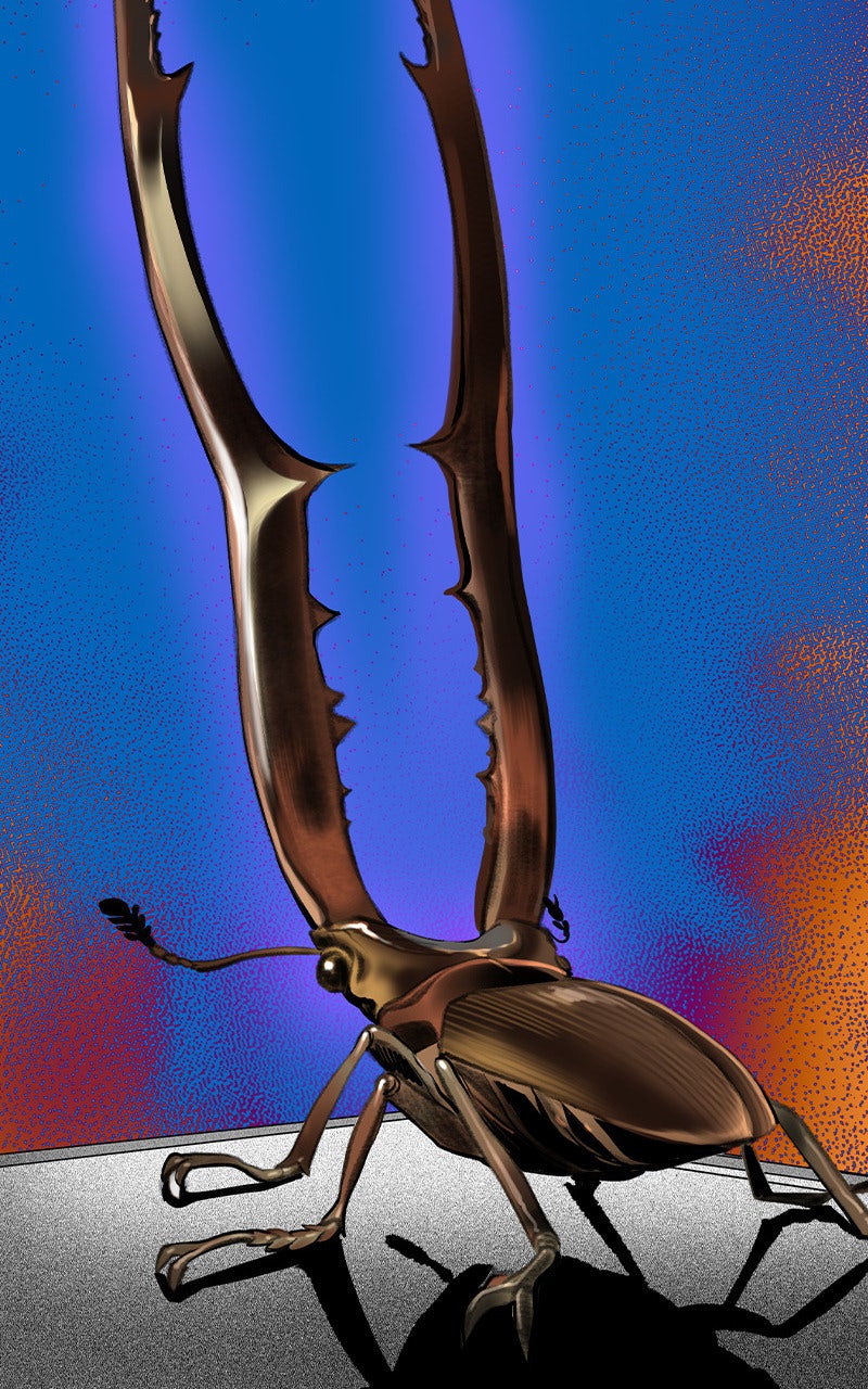 Read Jungle Juice fr Manga Online